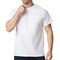 Gildan Softstyle CVC Craft T-Shirt Blank Bundle for Cricut, White Fabric Paint & DIY Projects (S–5XL)